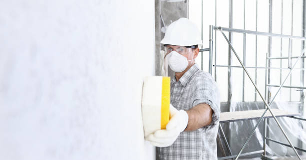 Best Mold Removal for HVAC Installations in Moose Lake, MN